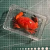 large-crab-body-approximately-7-5-9cm-acrylic-box