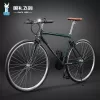 retro-elegance-21-speed-shimano-straight-bar-emerald-green